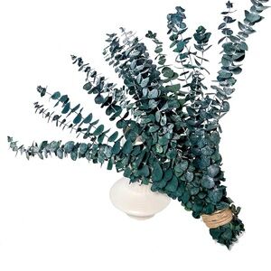 No. 6 Deep Teal Faux Eucalyptus Bundle